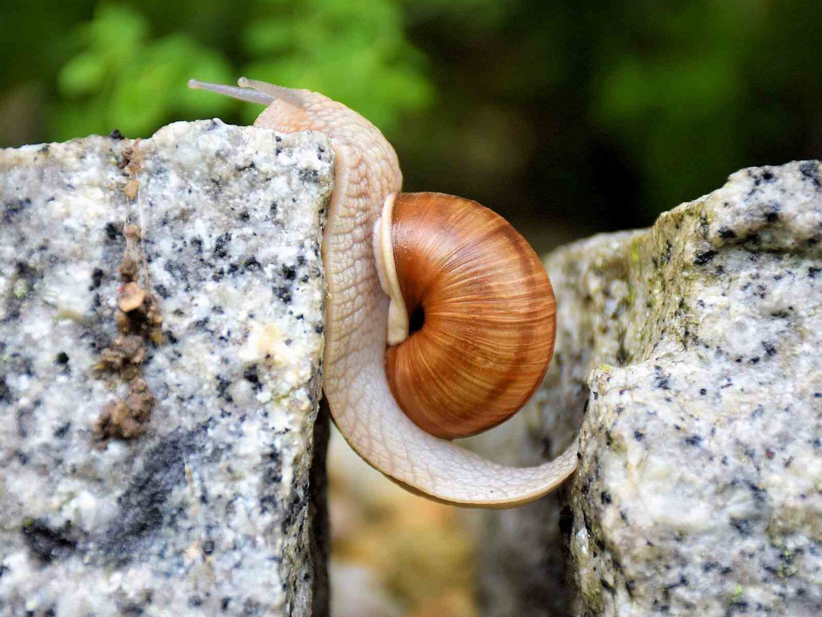 Verblijven in een 2-prs kamer? No no, never nooit niet!